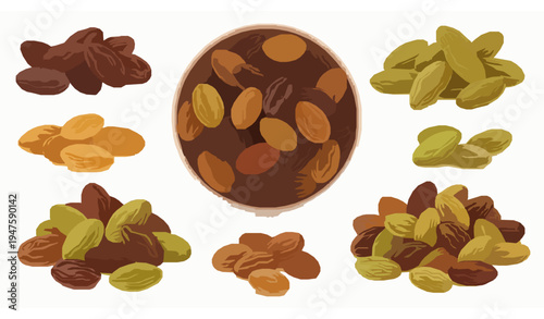Mixed variety of raisins in bowl with dark golden and green dried grapes isolated on white background vector illustration