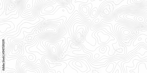 Minimal topography map area wallpaper. vector topo paper lines. Topographic contour lines grid map pattern. Geographic mountain relief. Contour hiking design.