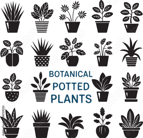 Set of potted houseplants isolated on transparent background black silhouette vector illustration