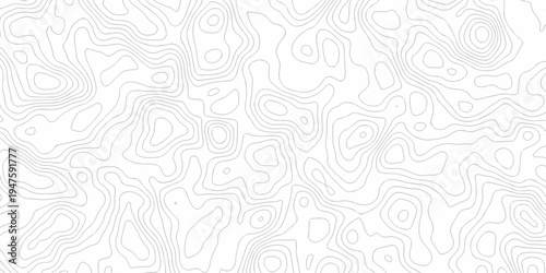 Minimal topography map area wallpaper. vector topo paper lines. Topographic contour lines grid map pattern. Geographic mountain relief. Contour hiking design.