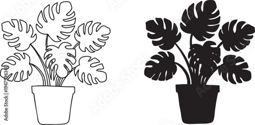 Monstera Deliciosa Potted Plant Line Art and Silhouette Set