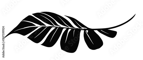 Curved banana leaf silhouette, exotic tropical foliage vector icon isolated on transparent background