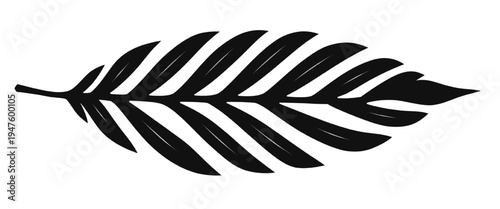 Tropical palm frond silhouette, exotic fern leaf botanical vector element on transparent background