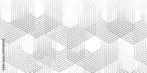 Geometric diagonal oblique vector curve gradient black and white graphic stripe line. Repeated fine diagonal lines Thin slash line stripes diagonal vector elegant background
