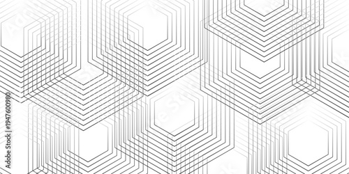 Geometric diagonal oblique vector curve gradient black and white graphic stripe line. Repeated fine diagonal lines Thin slash line stripes diagonal vector elegant background