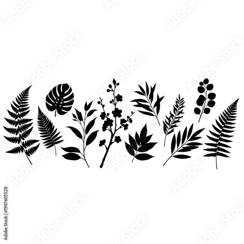 Collection of various tropical leaves and plants in black silhouette on white background.