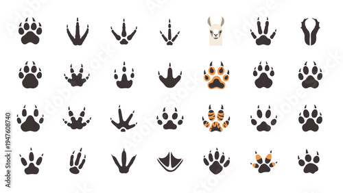 Collection of various animal paw prints and bird tracks silhouettes isolated on a white background with a cute llama illustration.