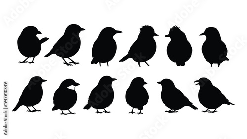 A group of black birds standing in two rows