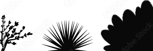 Desert cactus, agave and branch plant silhouettes isolated on white background, wild western vegetation vector illustration for nature landscape, desert design and botanical graphics