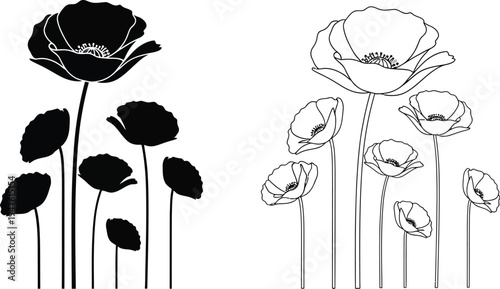 Black and white roses floral design with stems and leaves Vector