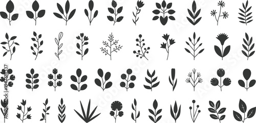 Botanical plant and branch silhouette icon collection isolated on white background, decorative foliage vector set for nature design, garden graphics and floral elements