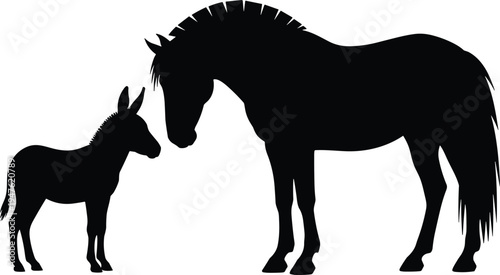 Black silhouette of horse and donkey white background