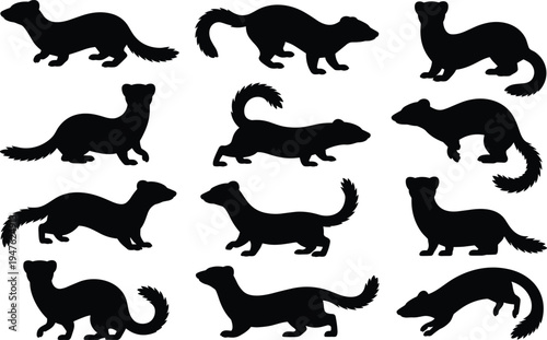 Assortment of black weasel silhouettes capturing a spectrum of natural movements and positions on a white background