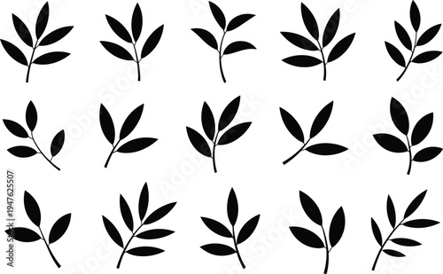 Fifteen black silhouette illustrations of various leaf branches on a white background leaves plant