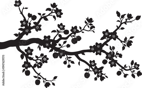 Vector illustration Blooming tree branch silhouette with apple flowers and small fruits for spring season nature design