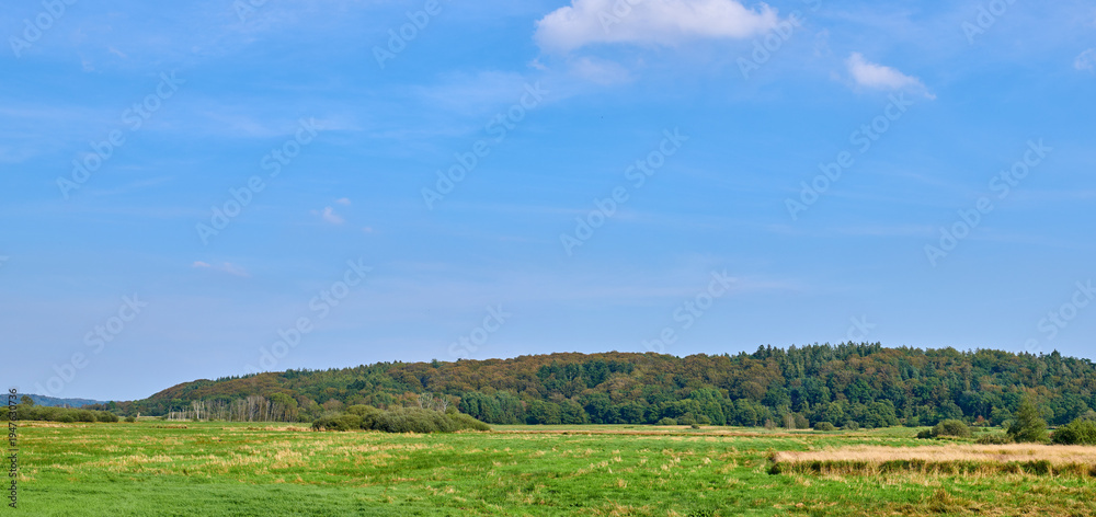Fototapeta premium Farm, countryside and landscape for agriculture with grass, growth and sustainable environment. Pasture, field and outdoor for agro, production or eco friendly in spring with trees by blue sky