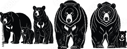 Black and white vector illustration of a majestic male lion standing with two cubs, wildlife family silhouette, isolated on white.