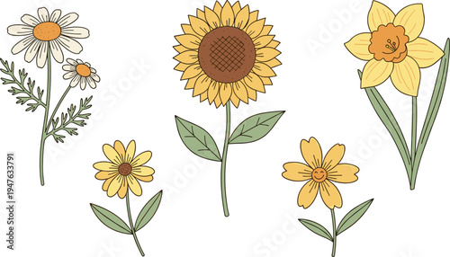 Hand-Drawn Floral Illustration Set Featuring Sunflowers, Daisies, and Yellow Flowers for Spring and Summer Decor, Packaging, and Design Projects