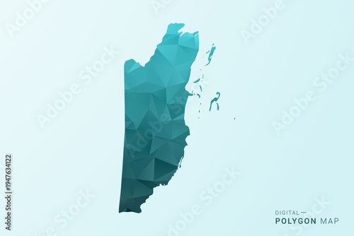 Belize Map - Polygon style vector illustration in teal blue-green low poly geometric design, modern minimal silhouette.