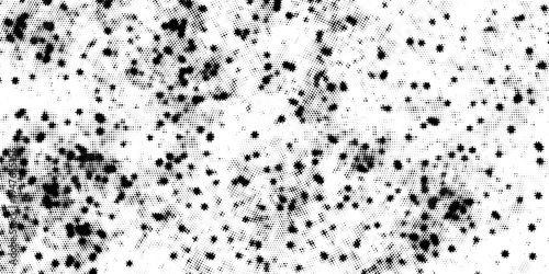 Halftone radial split gradient pattern, black dots forming dynamic center fade, minimal abstract geometric texture perfect for visual layout