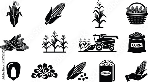 Corn agriculture and harvesting set with farm equipment and popcorn