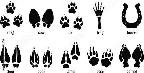 Set of black animal paw prints and hoof tracks icons including dog cat horse bear and deer for wildlife education and design