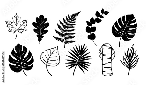 Hand drawn leaf silhouettes vector set botanical black leaves isolated