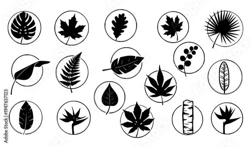 Hand drawn leaf silhouette icons botanical vector clipart collection