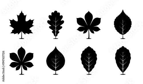 Black autumn leaves silhouette set fall foliage vector collection