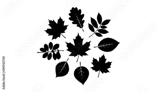 Circular autumn leaf silhouettes fall foliage botanical vector set