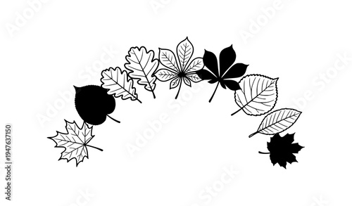 Minimal autumn leaf silhouettes fall foliage botanical vector set