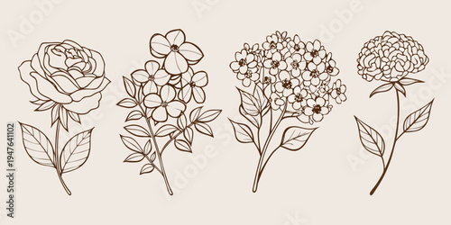 Delicate botanical illustration featuring four different flower arrangements