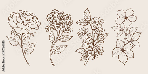 Vintage botanical illustration of various flowering plants and delicate foliage