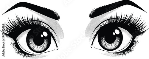 Beautiful female eyes illustration with long eyelashes and bold eyebrows black and white line art beauty makeup fashion vector