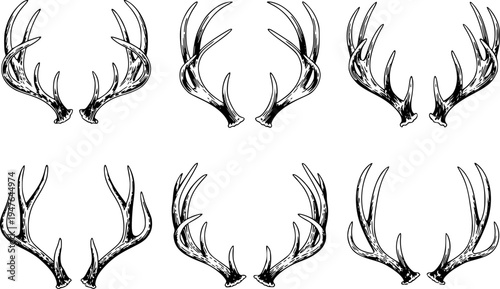 Pairs of detailed black and white deer antlers arranged in a grid a white background