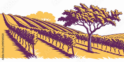 A tree standing in a vineyard with rows of grapevines Vector