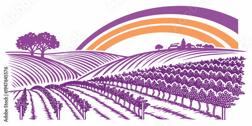 Vineyard landscape with rainbow over rows of grapevines Vector