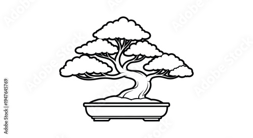 A detailed black and white illustration of a traditional bonsai tree