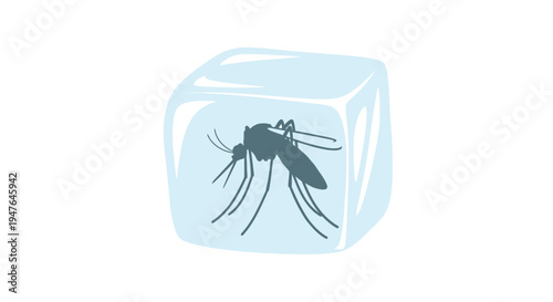 A mosquito is trapped inside a clear translucent ice cube