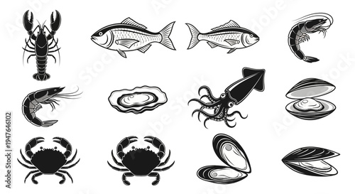 Seafood Collection: Hand-Drawn Illustrations of Fish, Lobster, Shrimp, Crab, Oysters, Squid