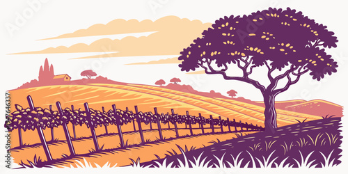 A tree standing in a vineyard at sunset Vector