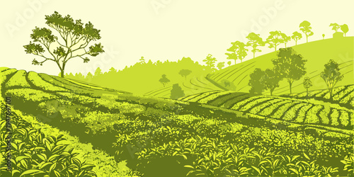 A green hillside with trees and bushes Vector