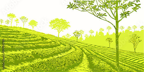 A tree on a green hillside with several trees in the background Vector