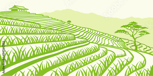 A green rice field with trees and hills Vector