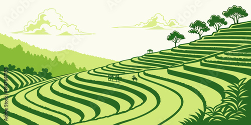 A green tea field with trees on a hillside Vector