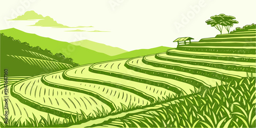 A green rice field with trees on a hill Vector