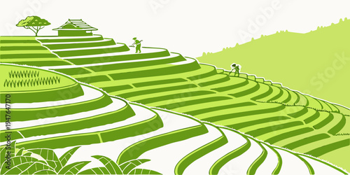 A green rice field with terraced hills and trees Vector
