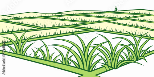 A green grassy field with a square patch of grass Vector