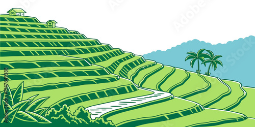 A green rice field on a hillside with a body of water Vector