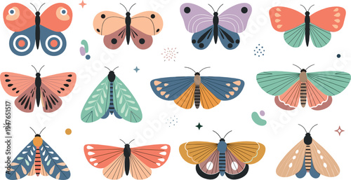 Colorful Butterfly and Moth Vector Collection with Decorative Insects Wings Nature Illustration Set